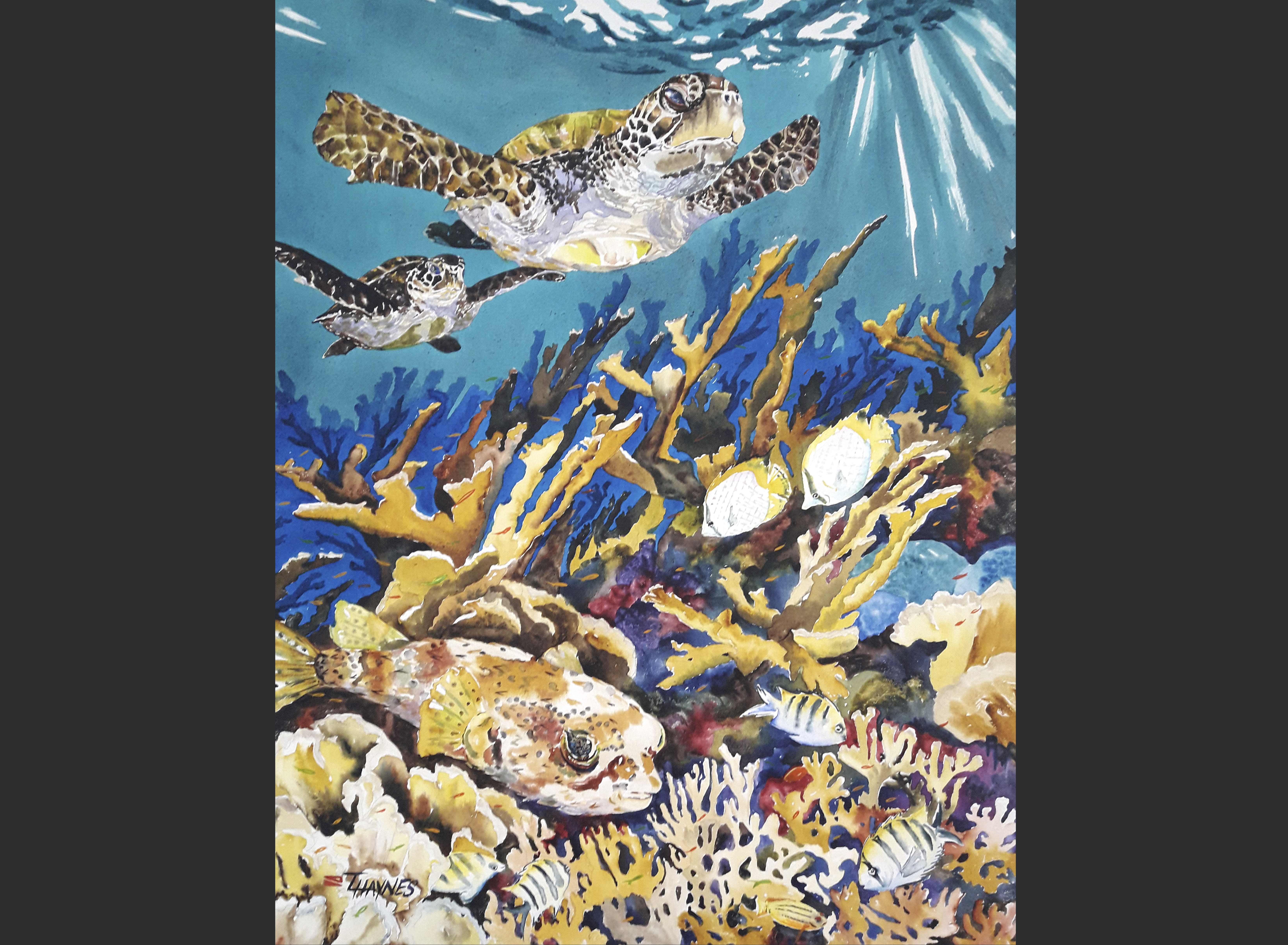Watercolor of Sea Turtles